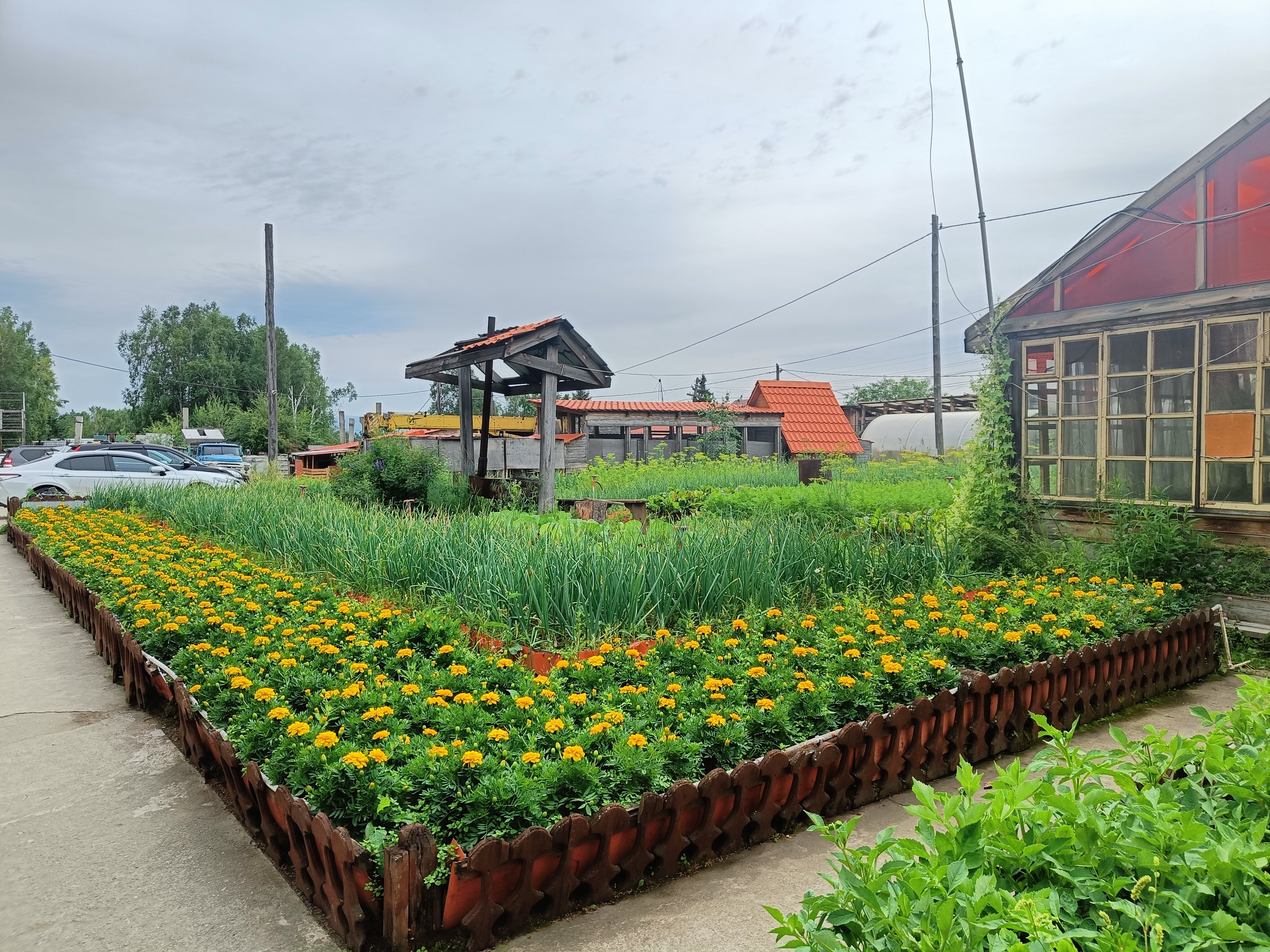 Фото Марьина Роща