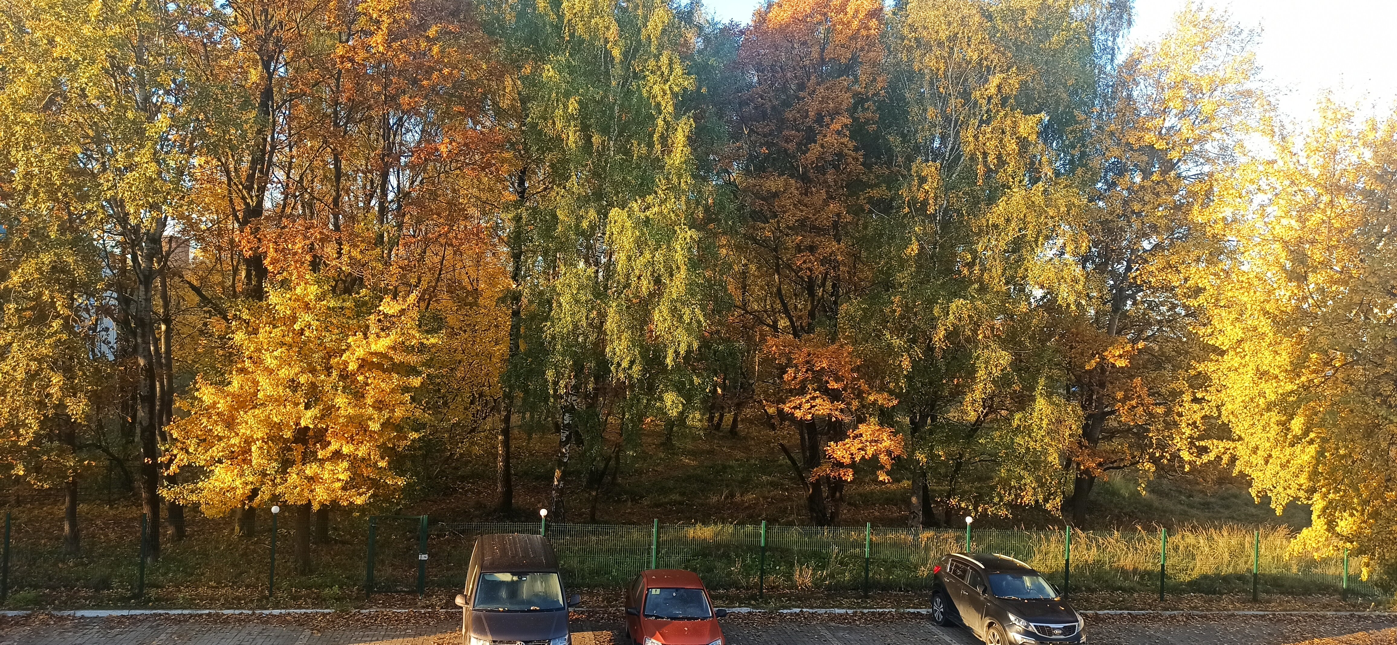 Фото Калита