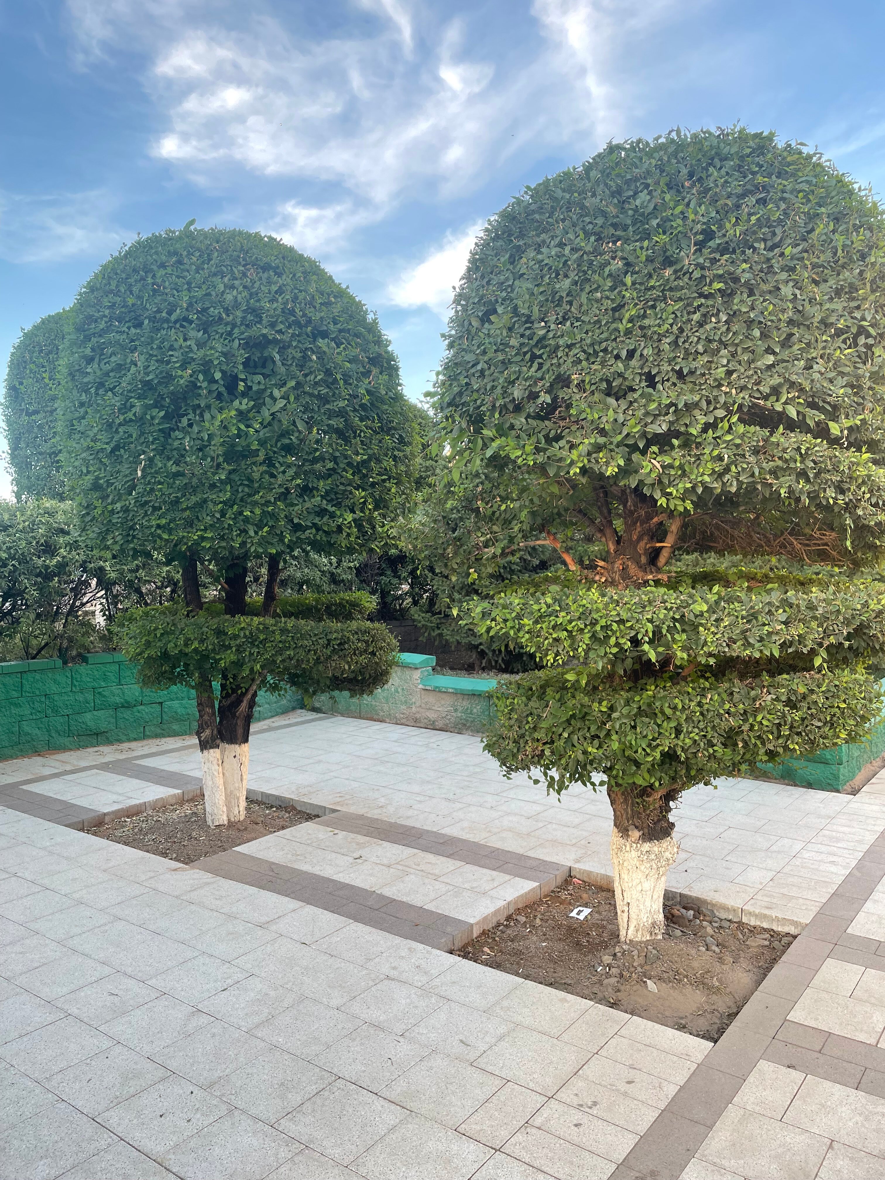 Фото The Ritz-Carlton Astana