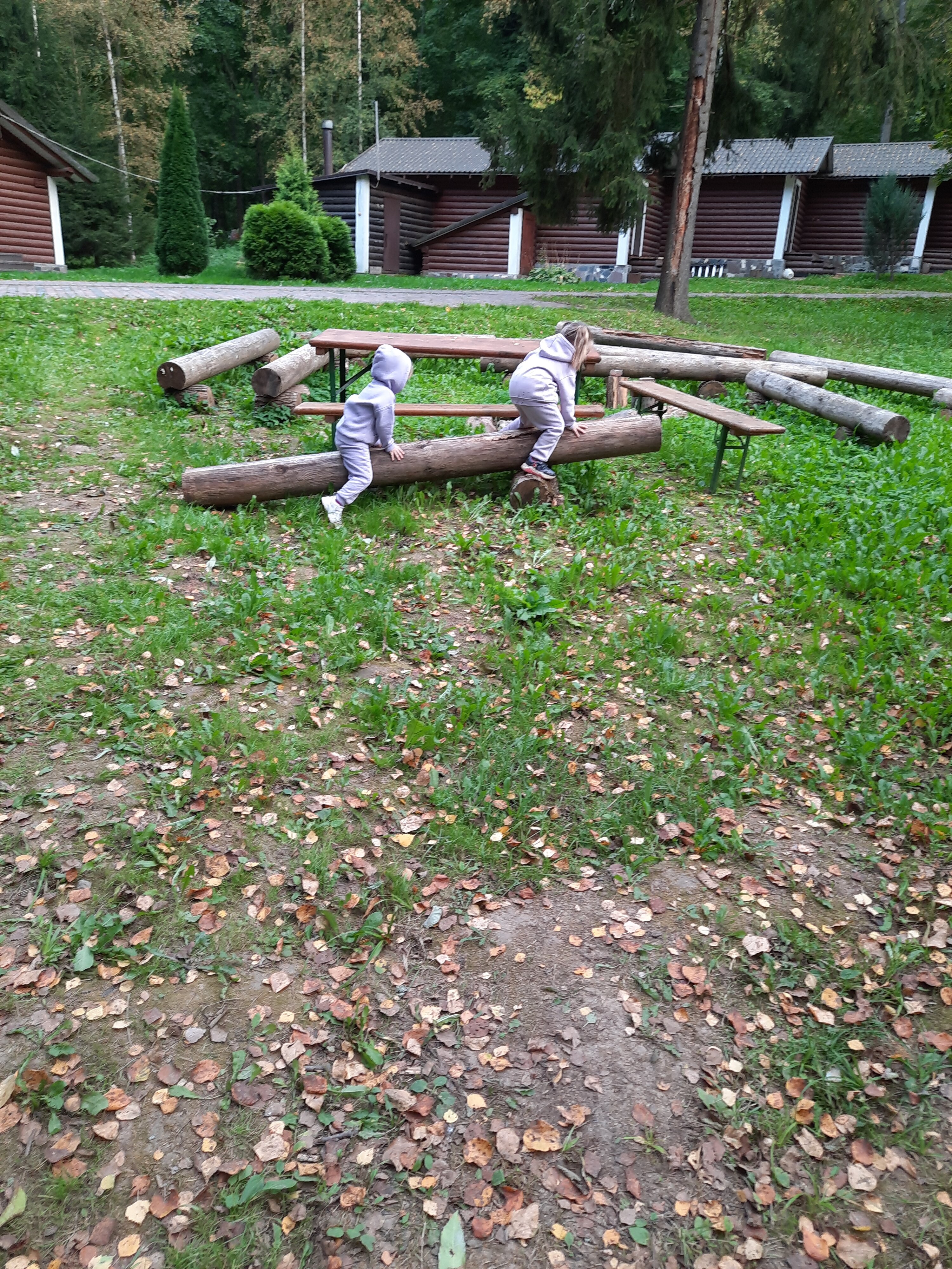 Фото Берёзовая роща