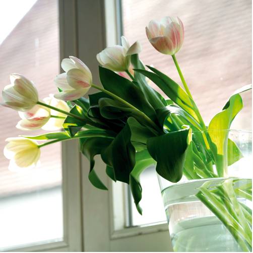 Фото Nh Kloesterle Nordlingen