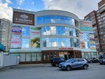 Flowers_pink_floyd (Novo-Sadovaya Street, 181Р), floristeria
