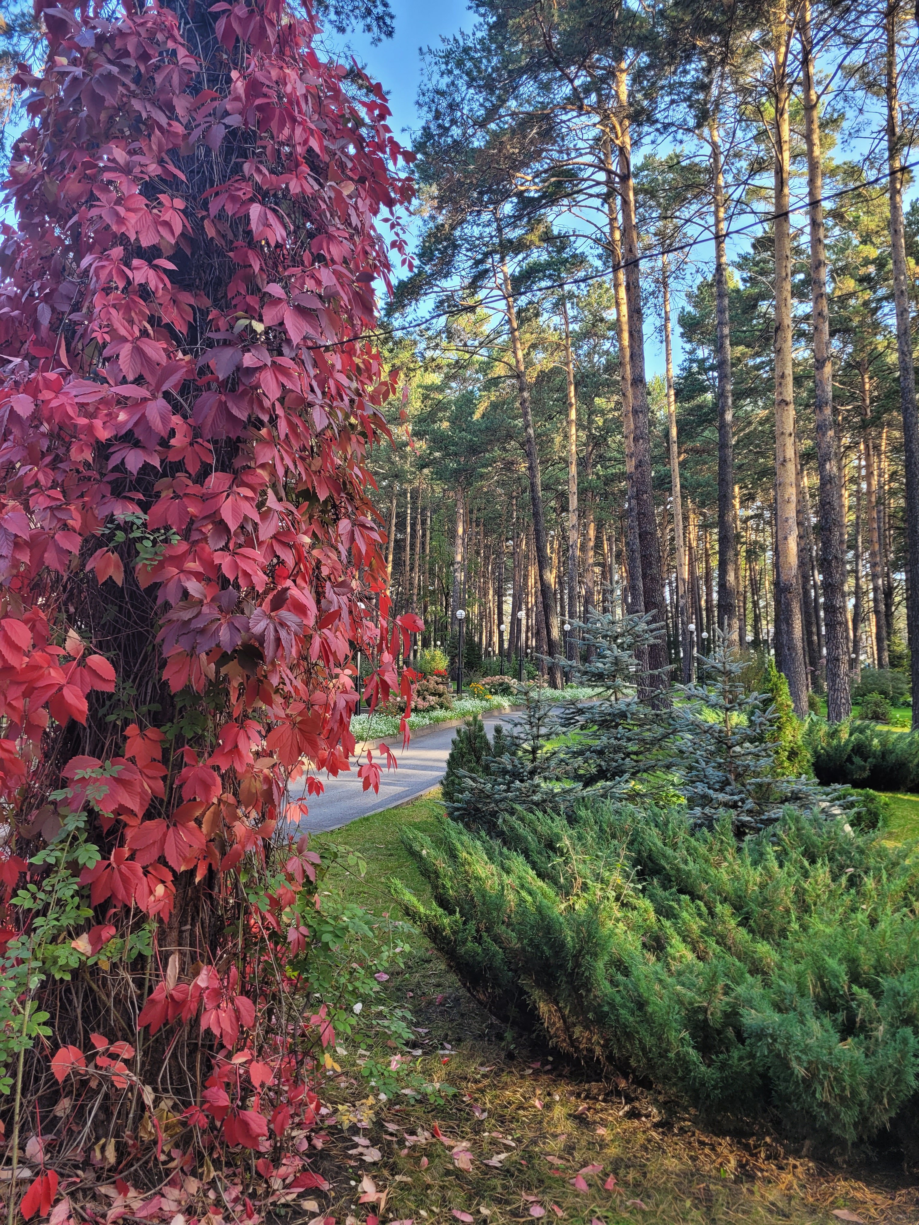 Фото Грааль