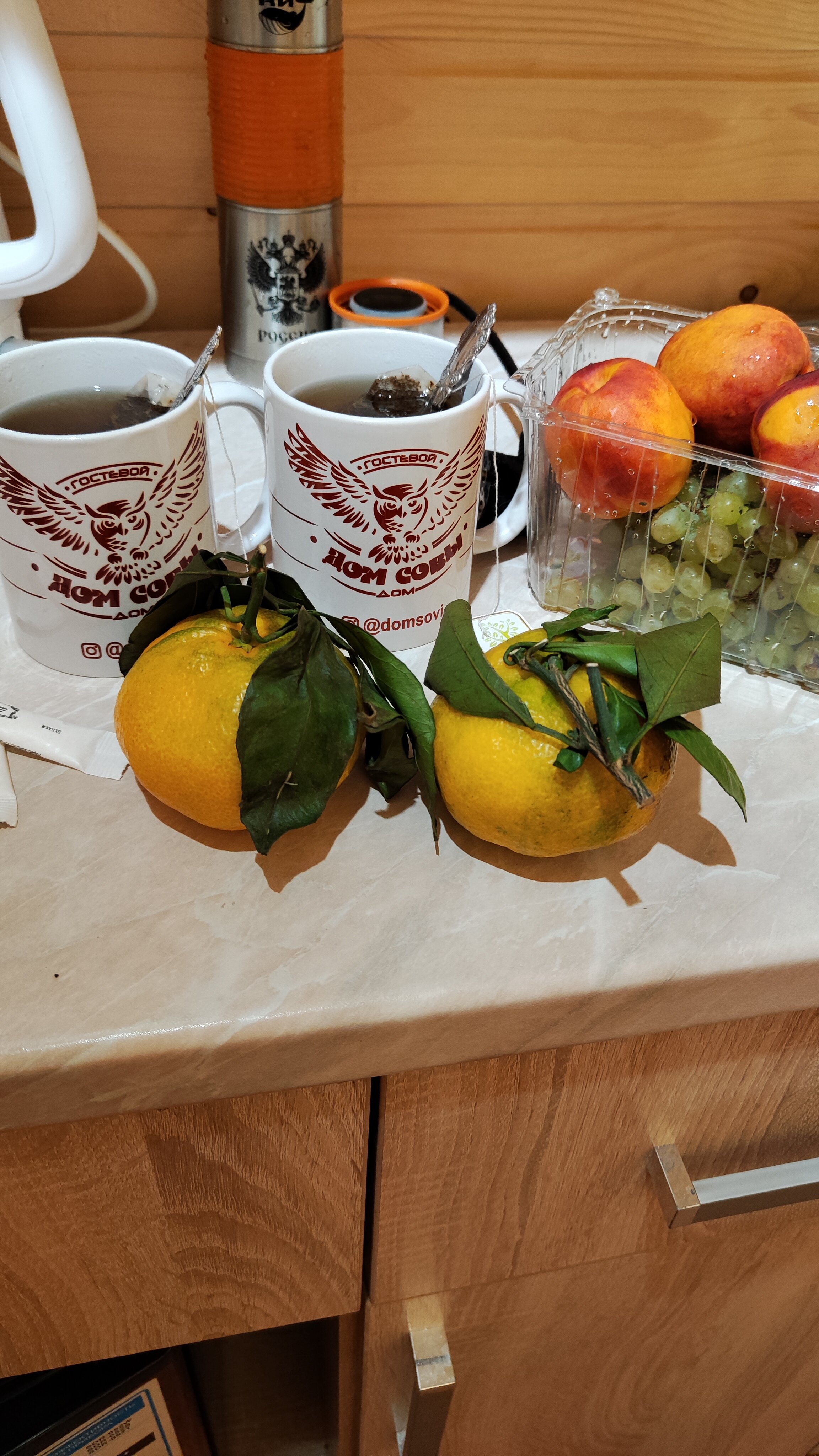 Фото Дом Совы