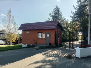 Алмаз