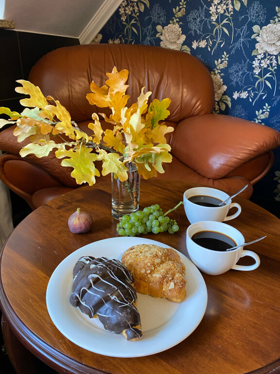 Фото Черепаха