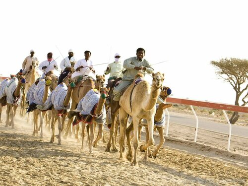 Гостиница Oryx Grand Hotel Jebel Hafeet в Аль-Айне