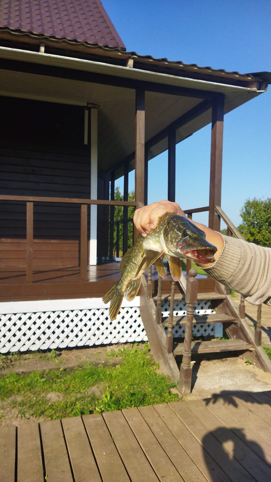 Фото Лунинские Просторы