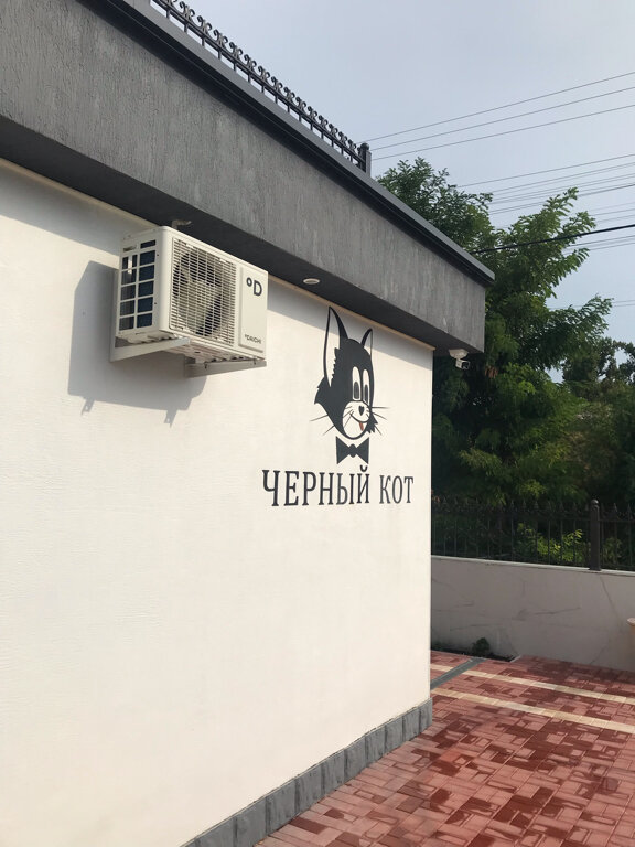 Фото Черный кот