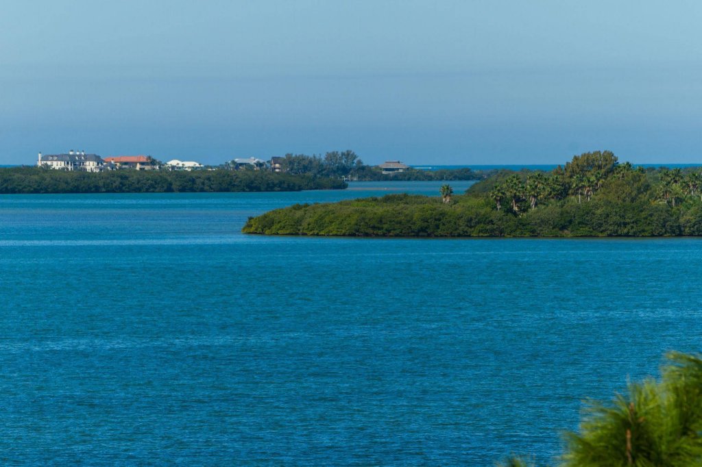 Фото Comfort Suites Clearwater - Dunedin