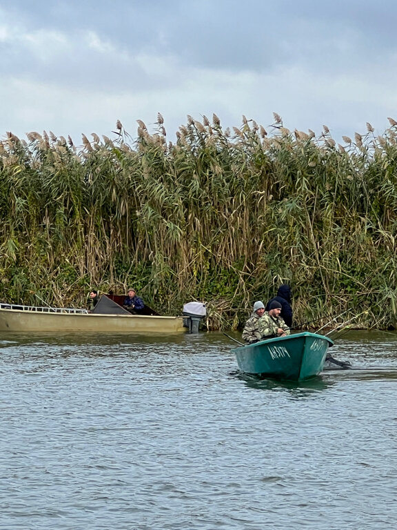 Фото Усадьба Гандурино