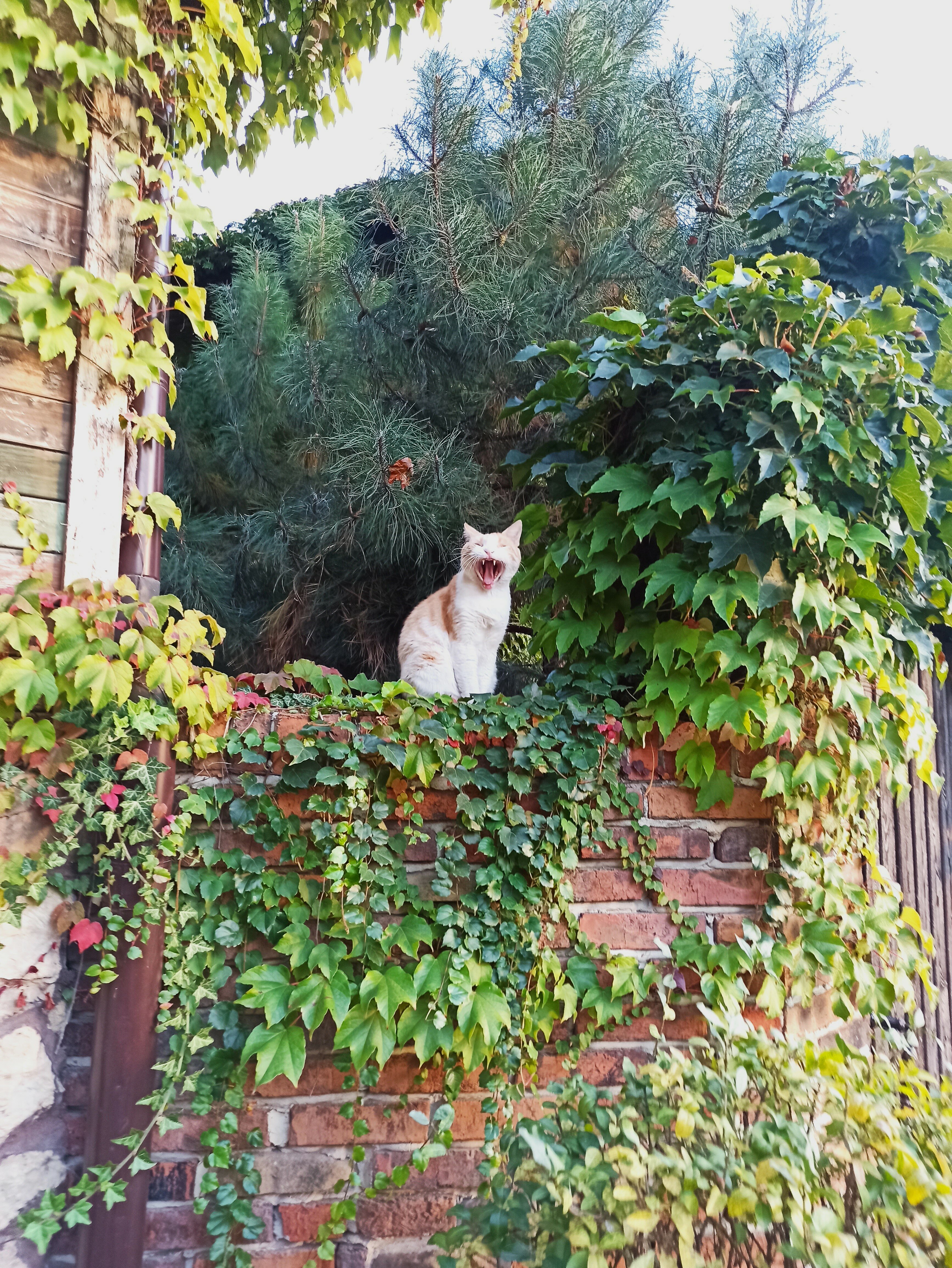 Фото Rassl Country Home