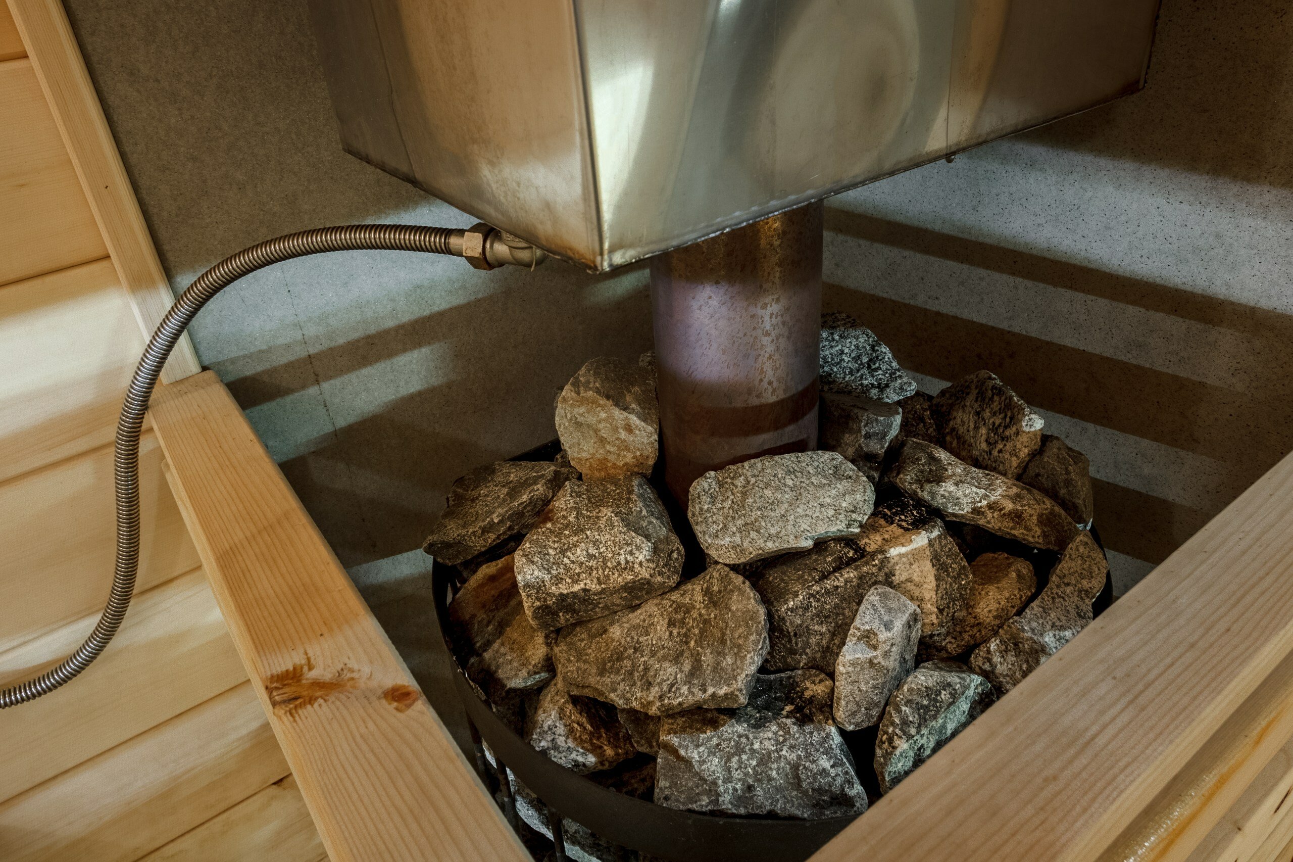 Фото 8 Сосен