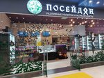 Poseidon (Flotskaya Street, 7с1), cervecería