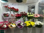 Цветы и подарки (posyolok gorodskogo tipa Izhmorskiy, Leninskaya ulitsa, 67), flower shop
