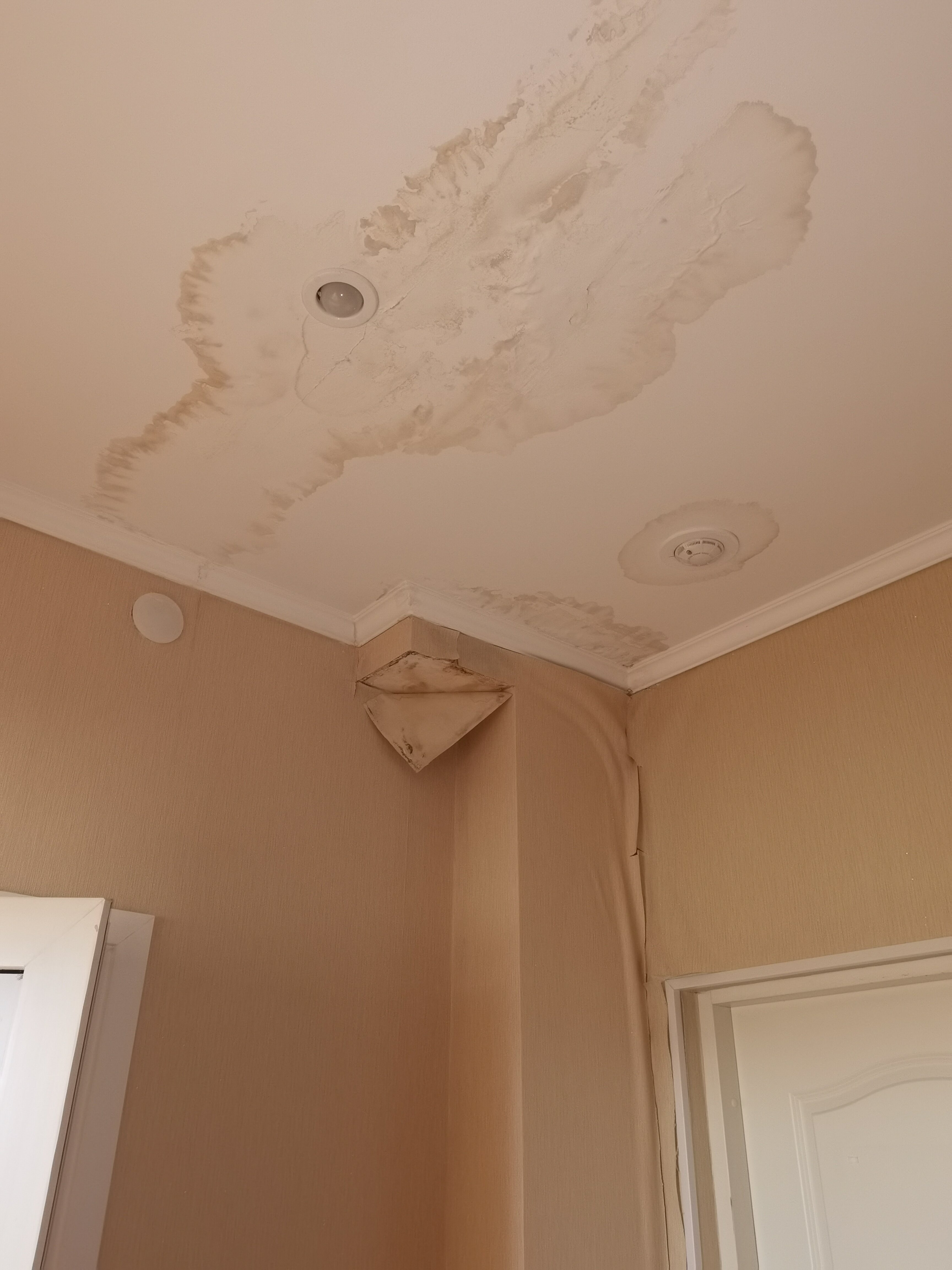 Фото Ариада