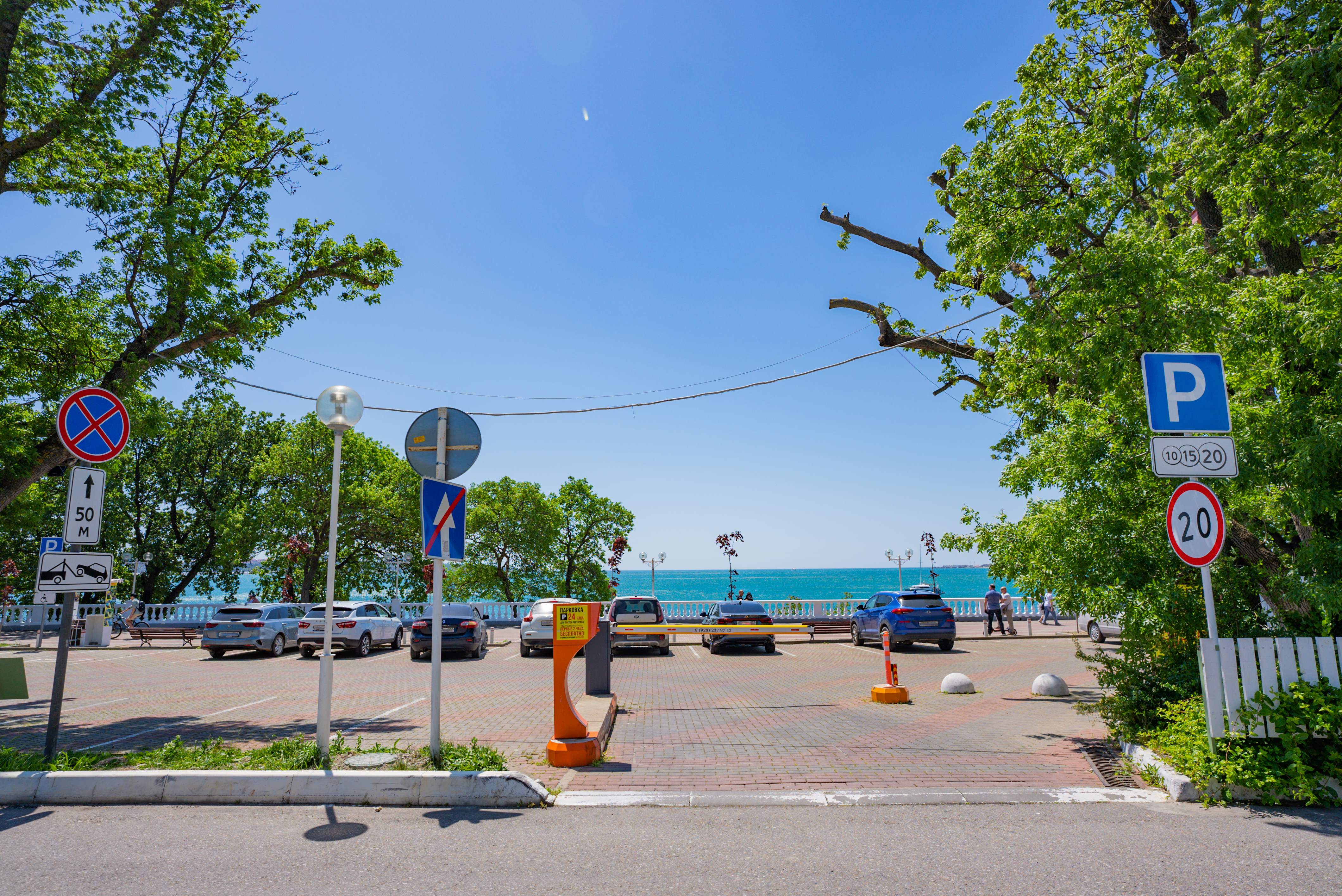 Фото Магнолия