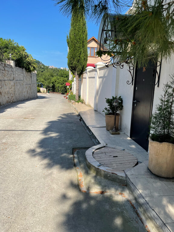 Фото Шафран