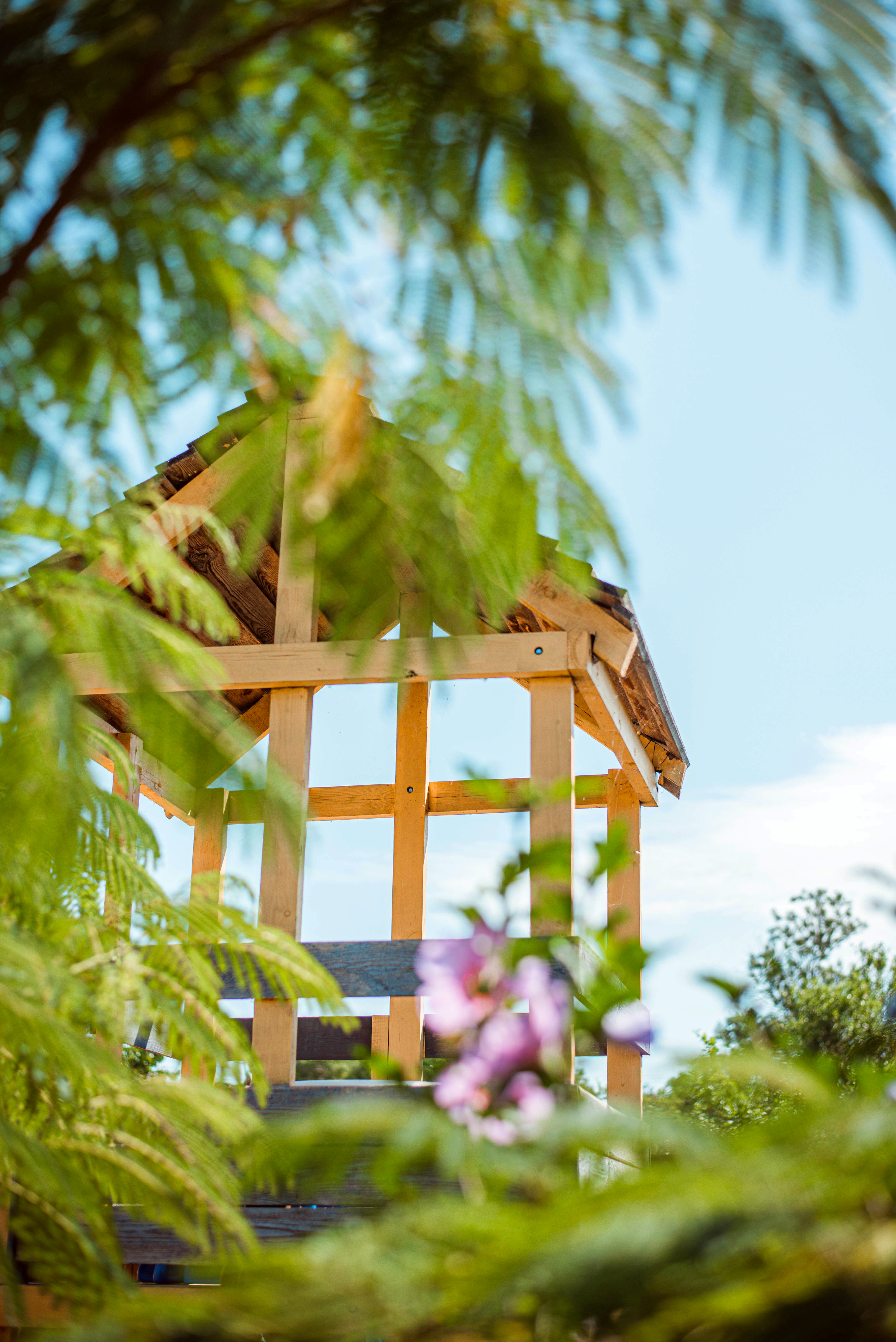 Фото Усадьба Дивноморье