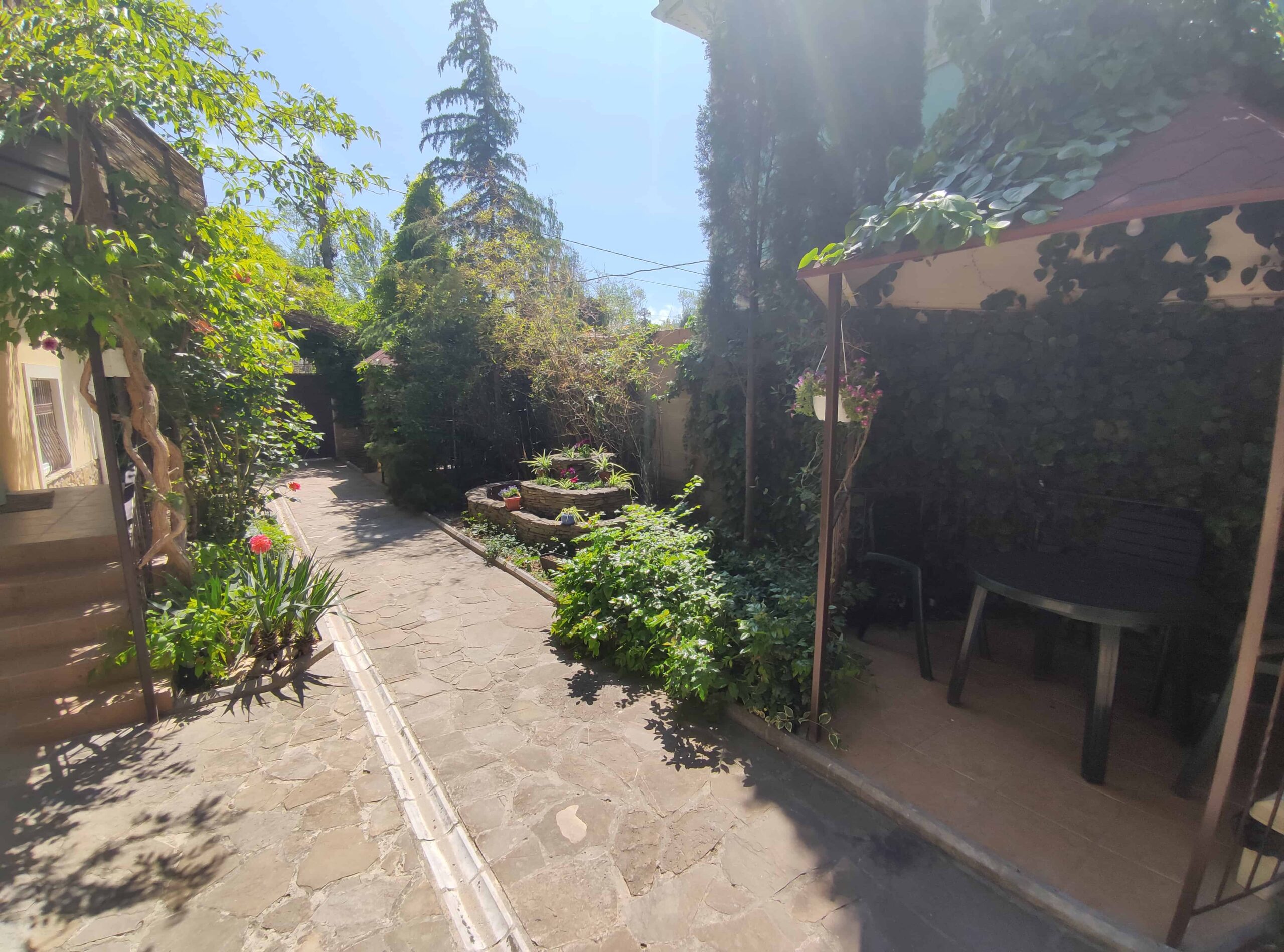 Фото Баттерфляй