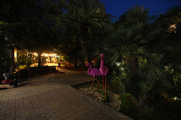 Фото Элизабет