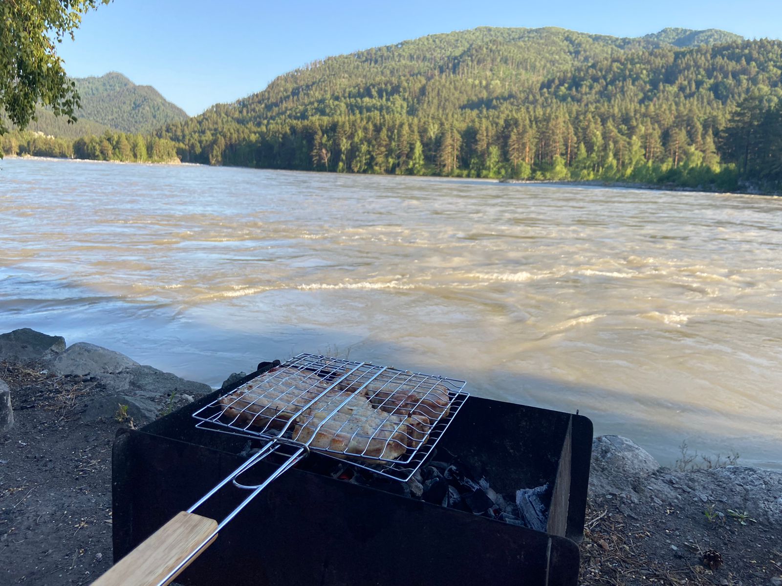 Фото Альбатрос