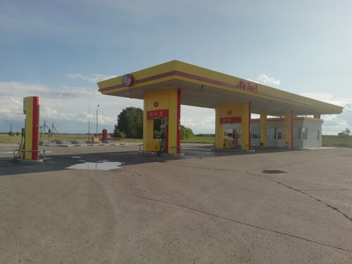 Gas station Petrol Servis, Samara Oblast, photo