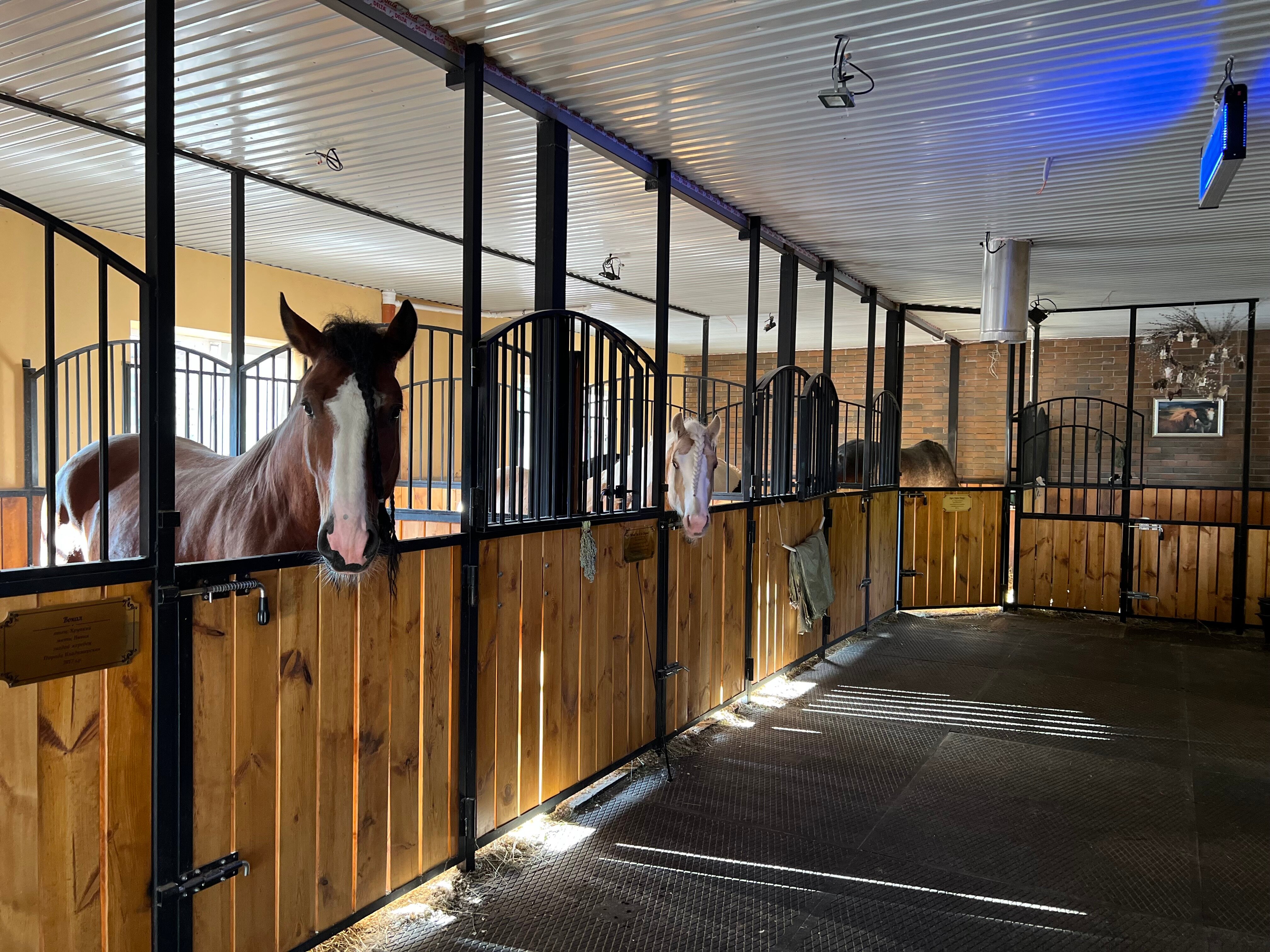 Фото Нартаван