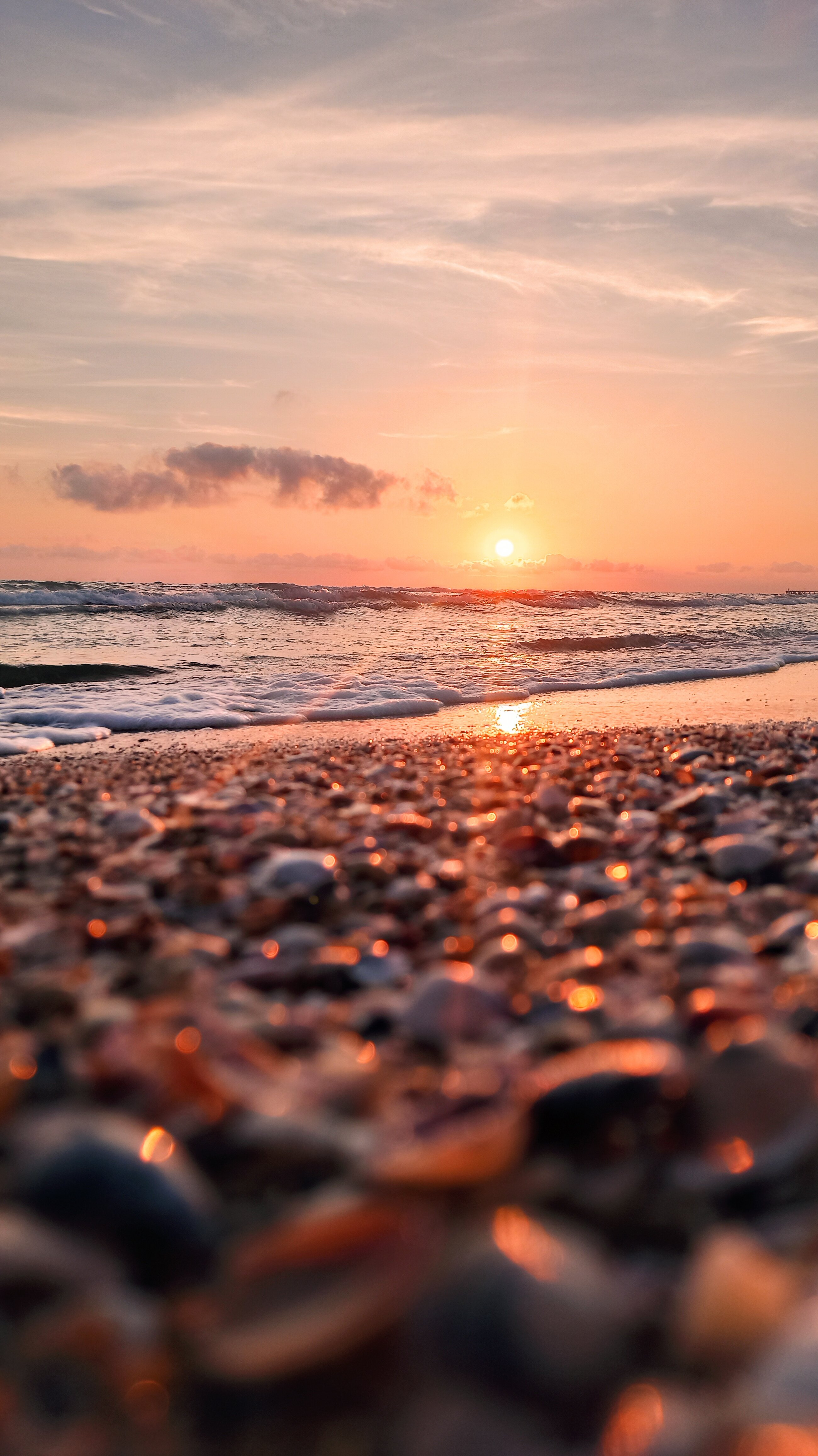 Фото Регата