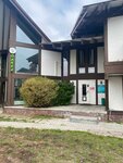 ОлИва (Sakko i Vantsetti Street, 98), escuela de artes