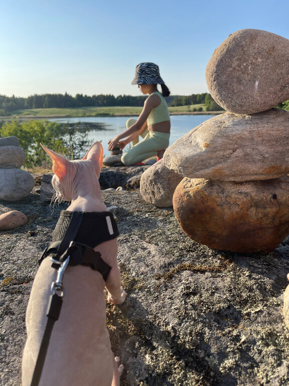 Фото Варёновка