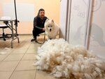 Yarkiy_groom (zhiloy rayon Dyoma, mikrorayon Ekogorod Yarkiy, ulitsa Arkhitektora Kalimullina, 1), pet salon
