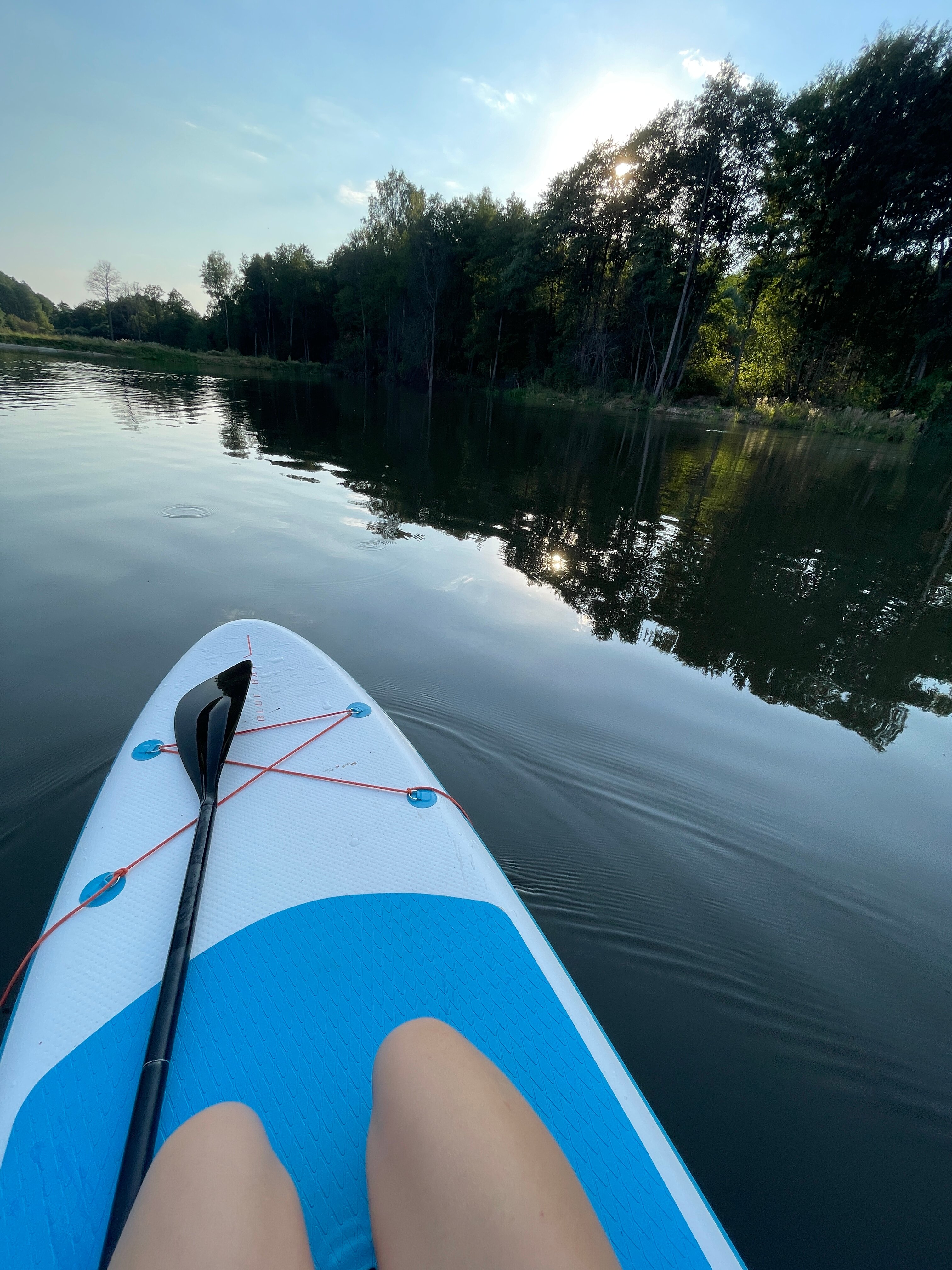 Фото Малина