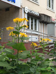 Кофейня (Talalikhina Street, 1к2), coffee shop