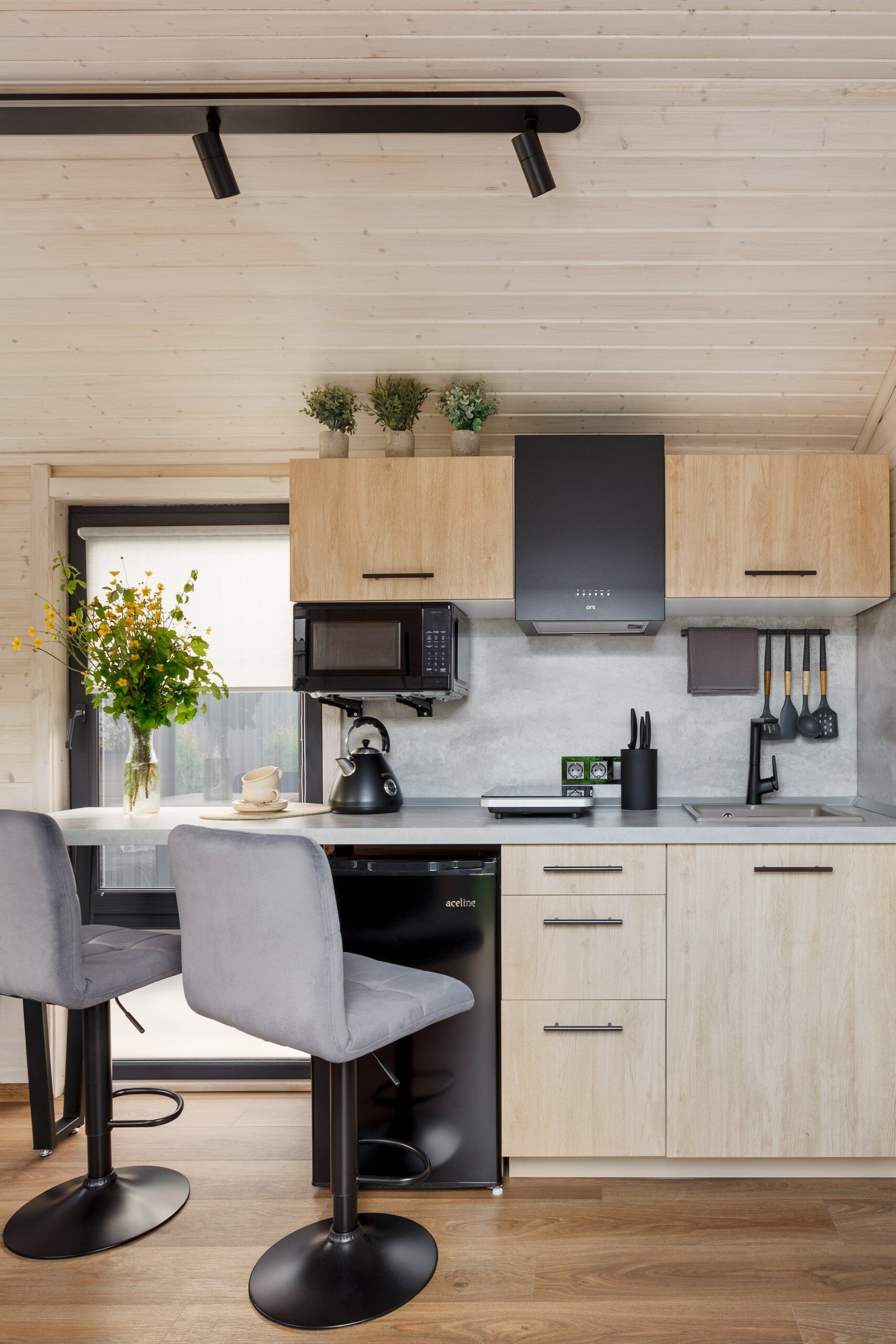 Фото 8 Сосен