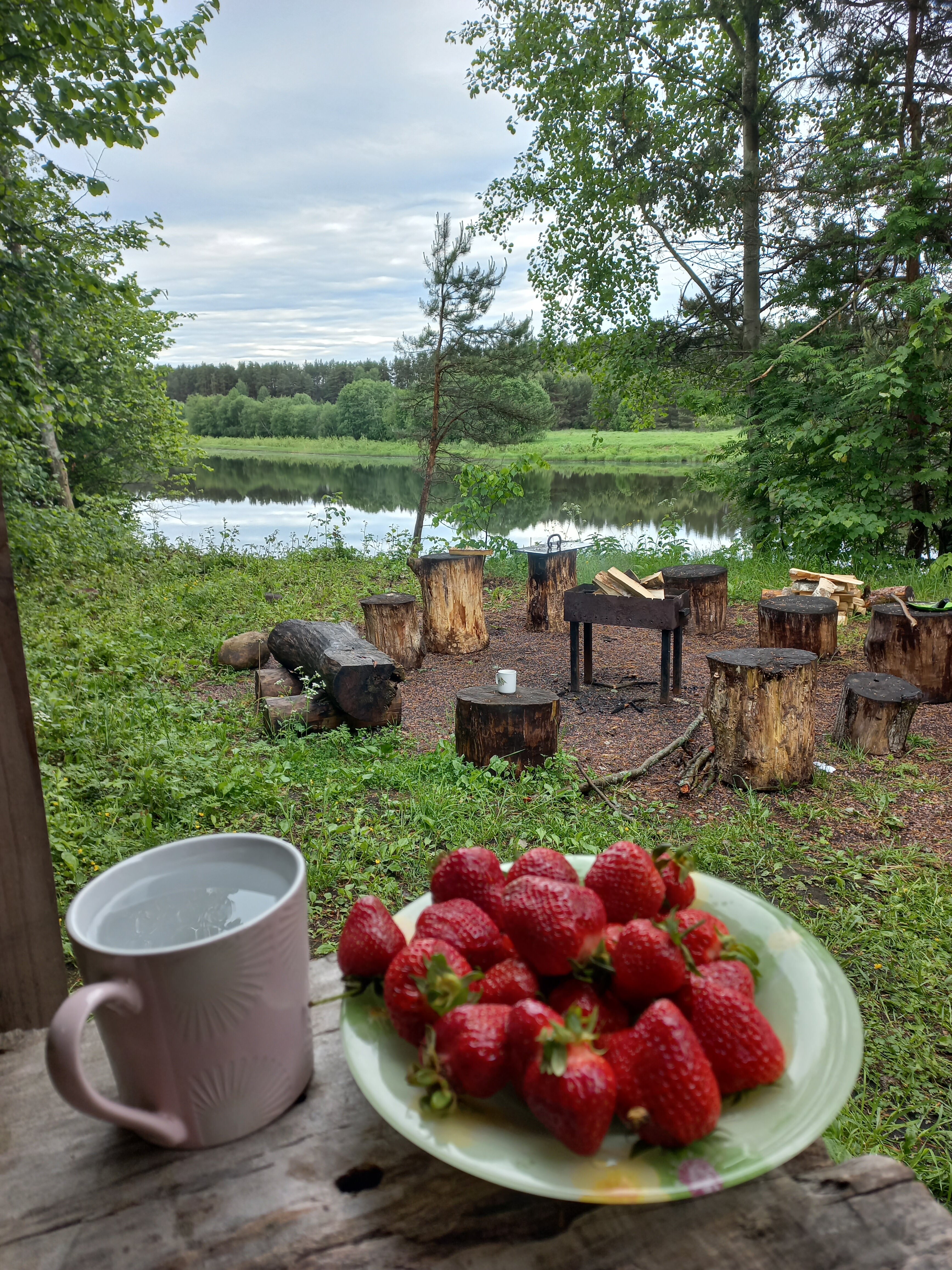 Фото Страна семи сов