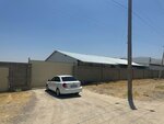 Mironkul Plast (Settlement of Mehrobod, 4), vegetables and fruit wholesale