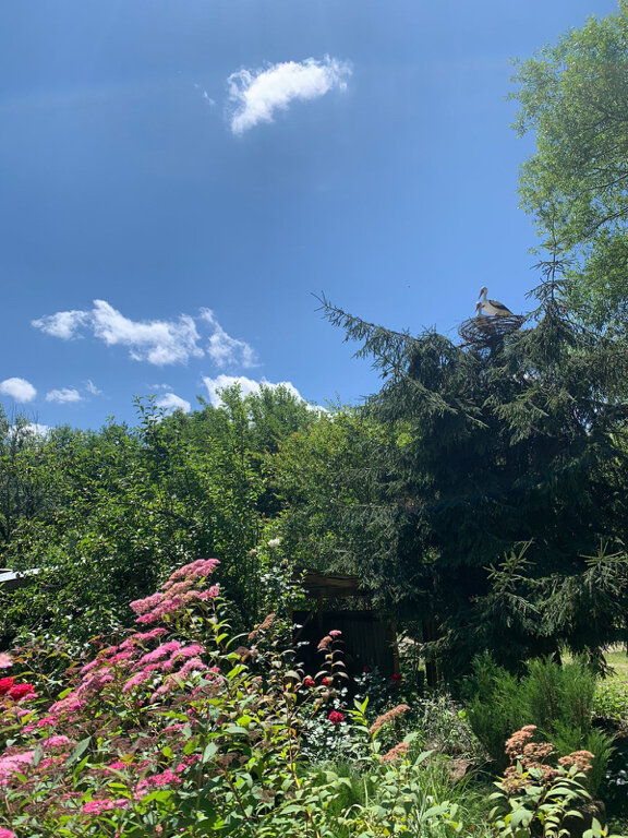 Фото Четыре сезона