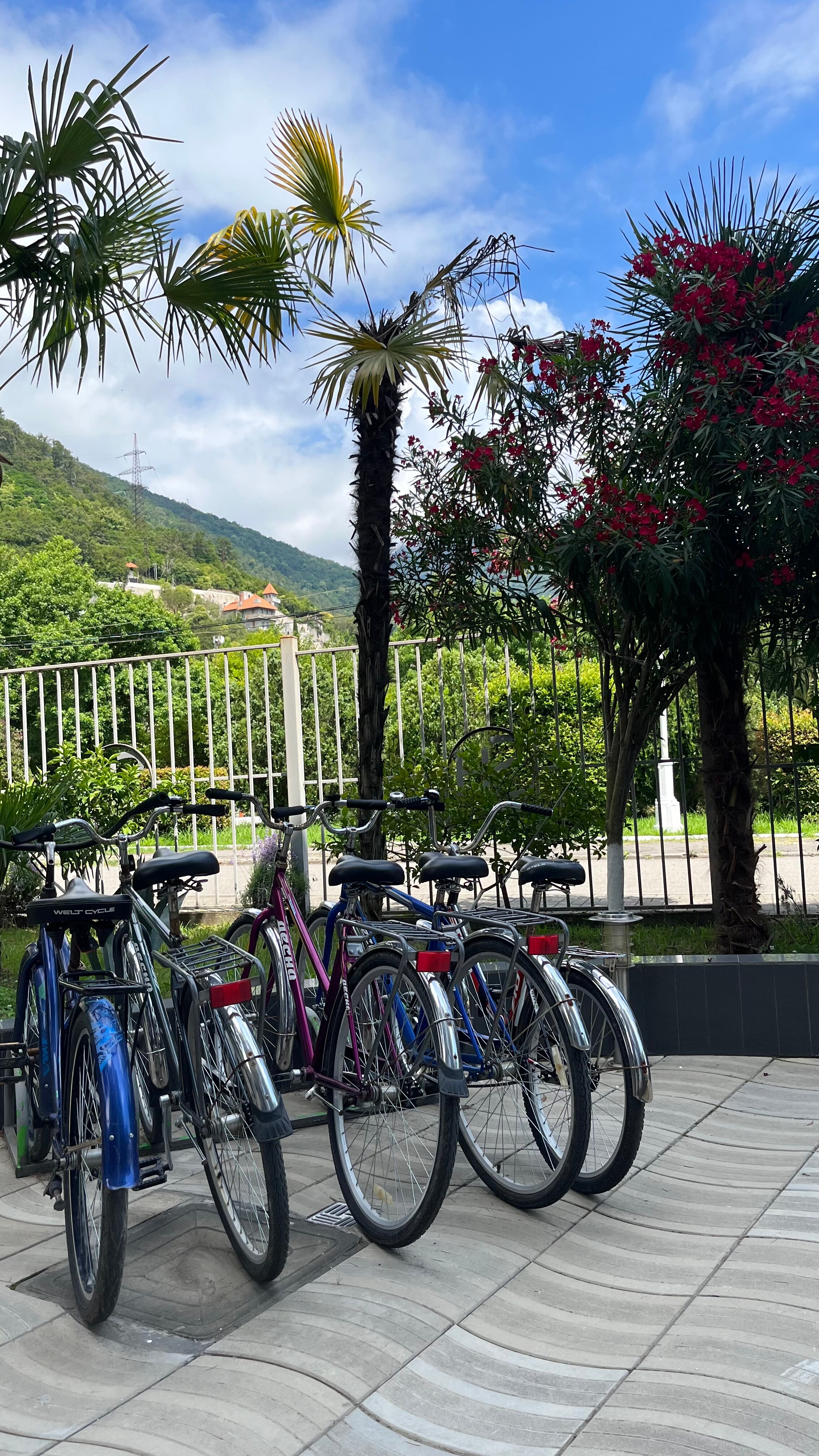 Фото Отель Sunrise garden