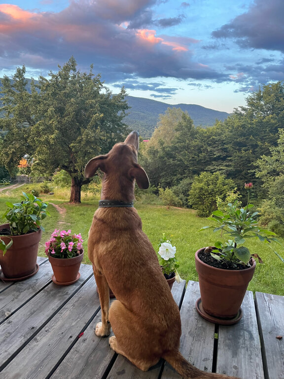 Фото The. Small. Hill. House