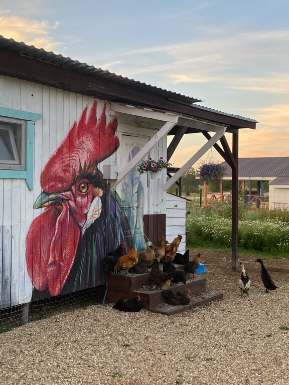 Фото Гастроранчо Хэппи Фарм