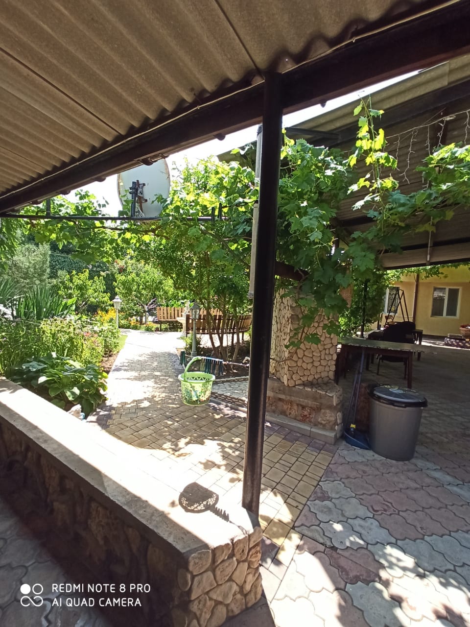 Фото У Борисовны