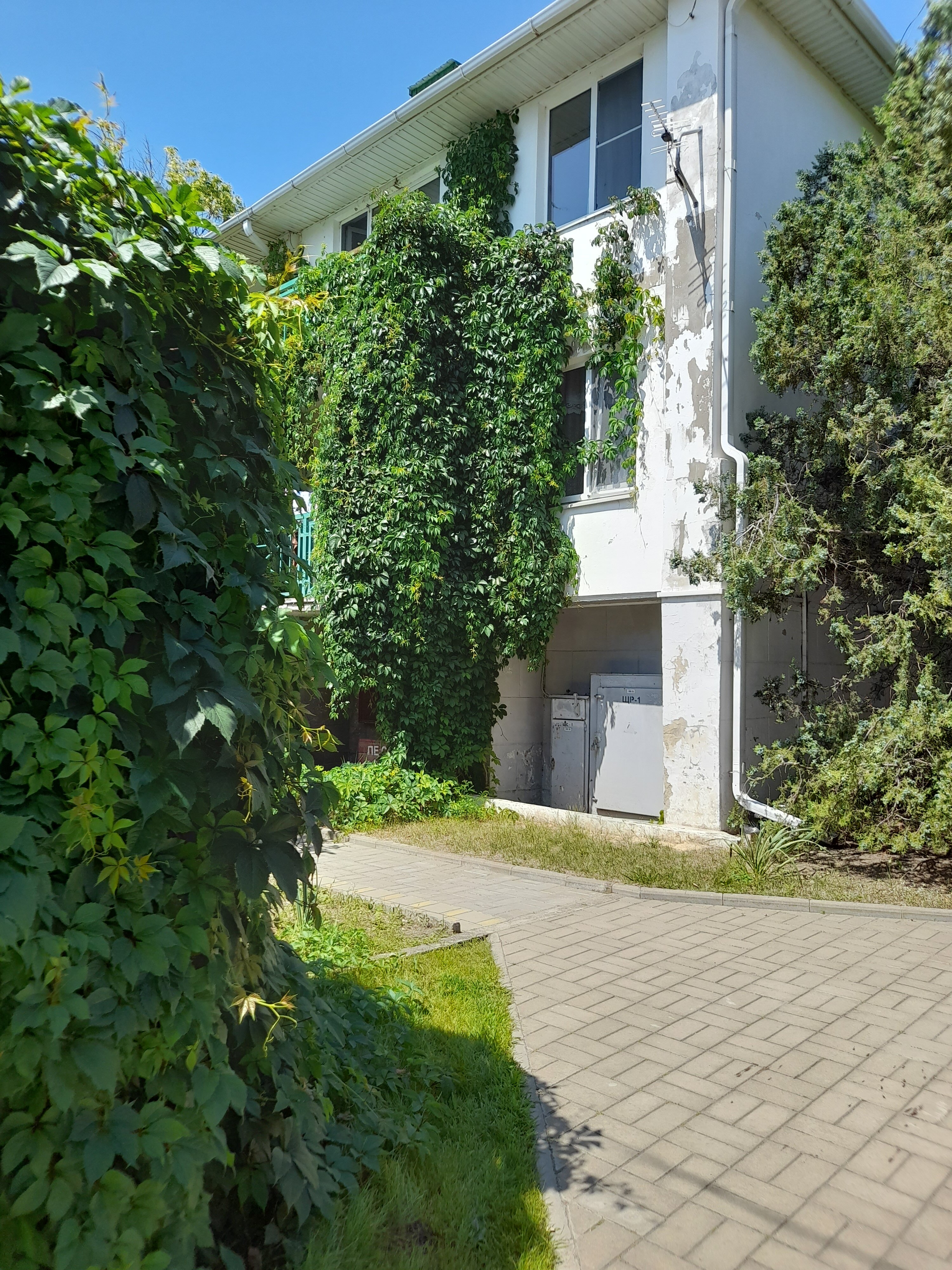 Фото Лукоморье