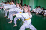 School karate Nikolaevoj Antoniny (Leninsky Avenue, 78), club deportivo, sección