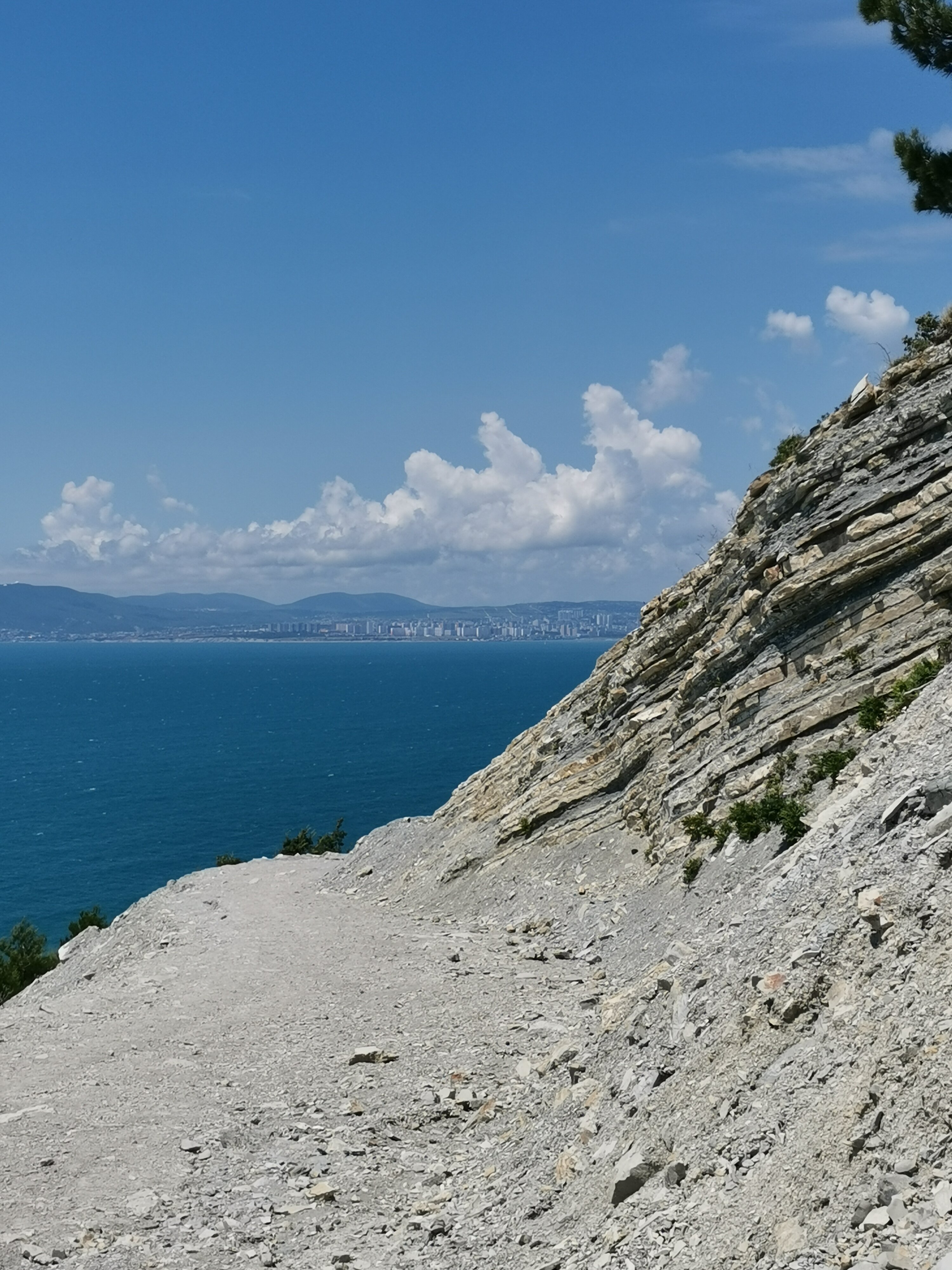 Фото Лесное местечко