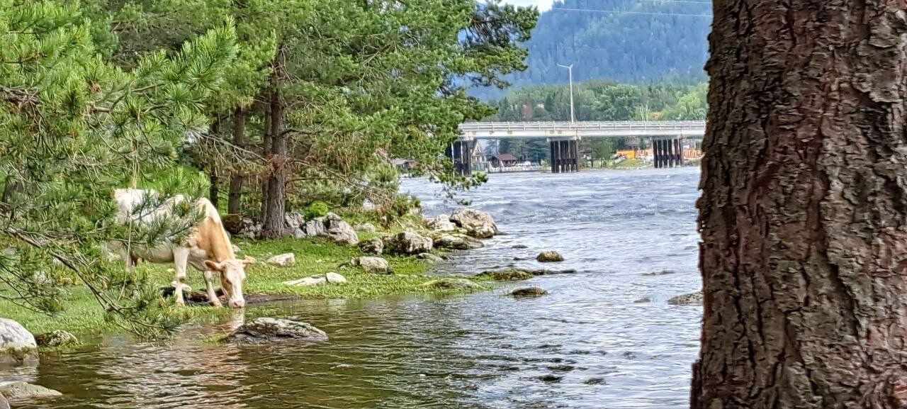 Фото Гостиница Артыбаш