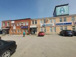 Автомаркет (ул. Леона Поземского, 111), магазин автозапчастей и автотоваров в Пскове