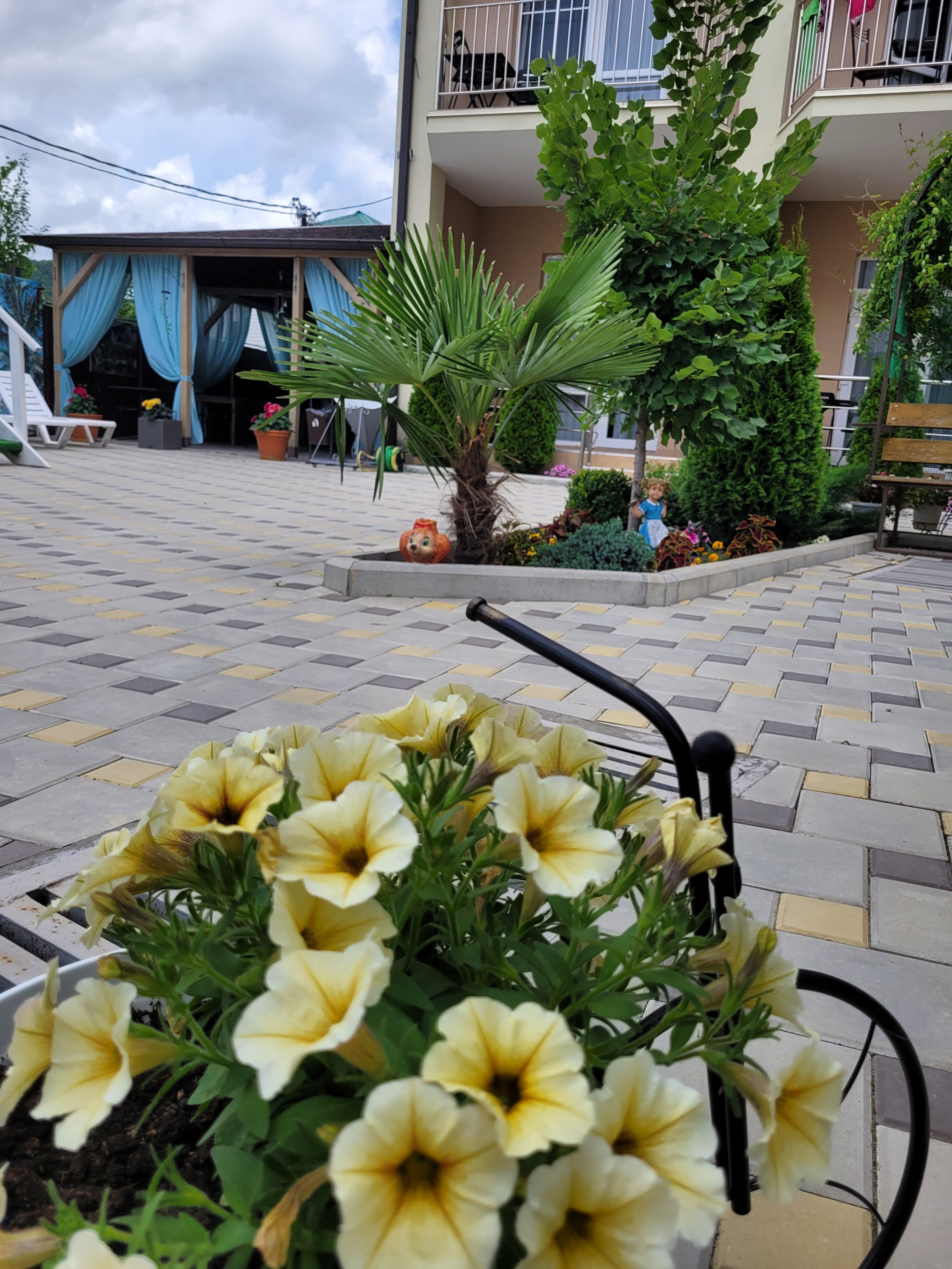 Фото Колибри