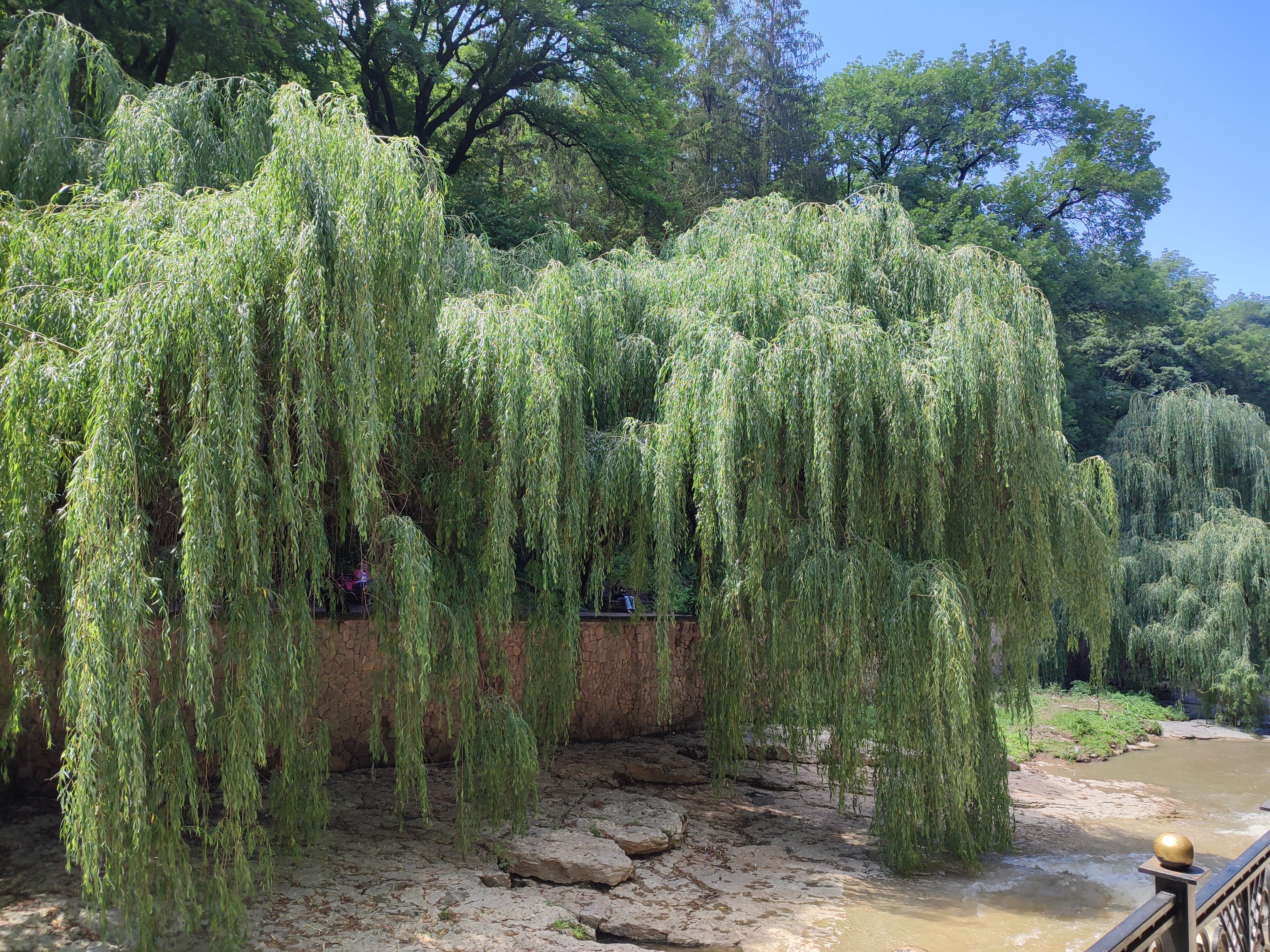 Фото Главные нарзанные ванны