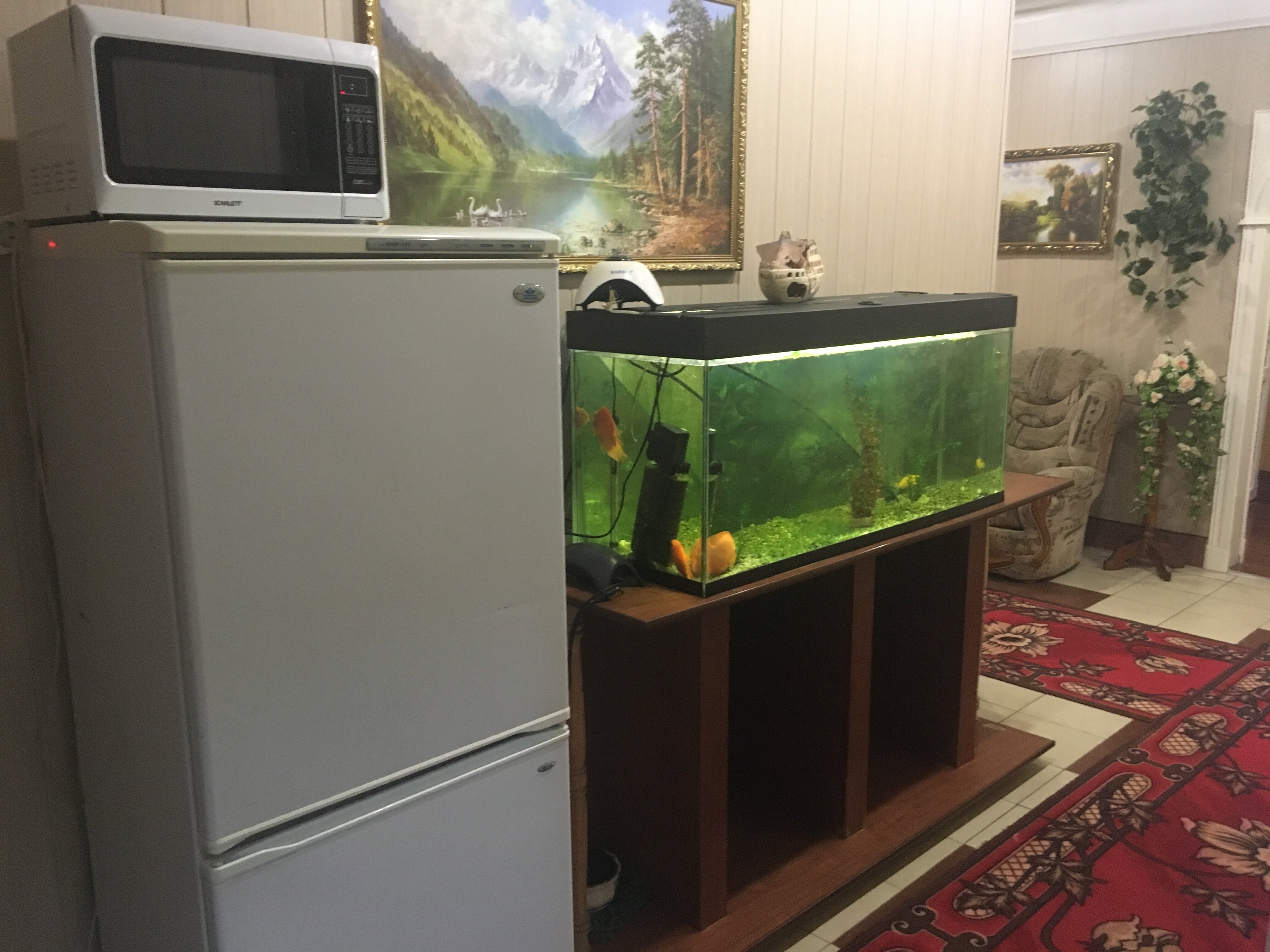 Фото Избушка в Репном